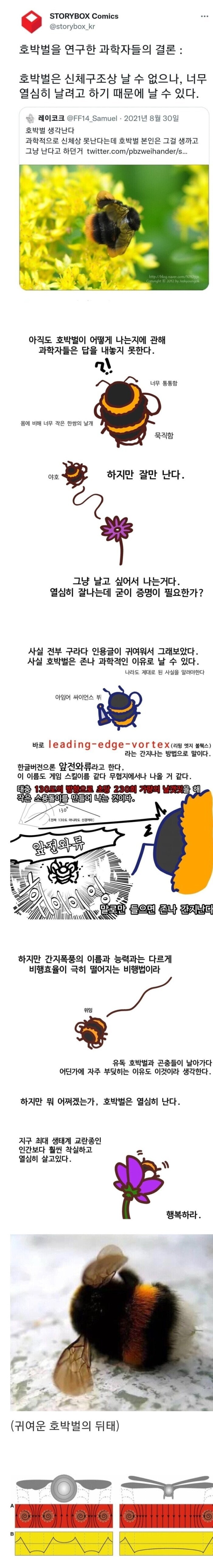 원래 못나는데 근성으로 나는 생물.jpg_1.jpg