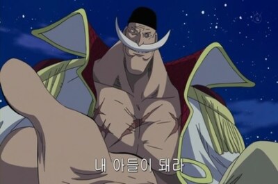원피스) 흰수염이 왜 에이스를 직접 상대했었냐_1.png