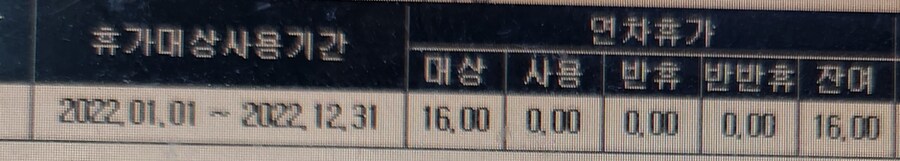 평범한 k-직장인의 연차 사용일수_2.jpg