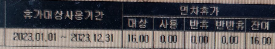 평범한 k-직장인의 연차 사용일수_3.jpg