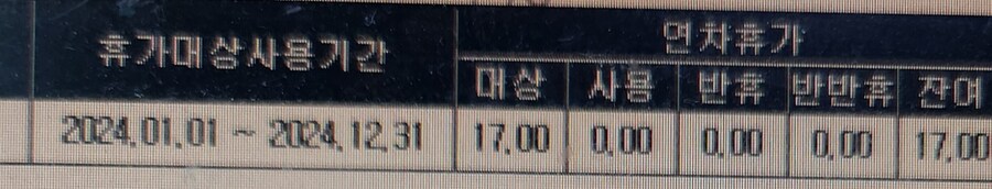 평범한 k-직장인의 연차 사용일수_4.jpg