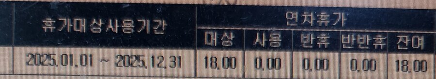 평범한 k-직장인의 연차 사용일수_5.jpg