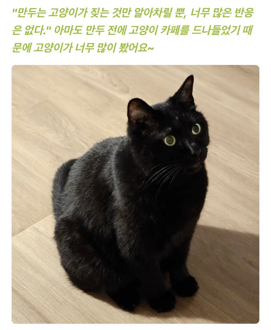 게임 커뮤에서 성우 사진이랑 성떡 달렸는데 칭찬받은 사람.jpg_5.jpg