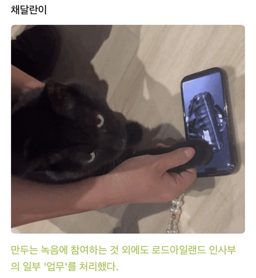 게임 커뮤에서 성우 사진이랑 성떡 달렸는데 칭찬받은 사람.jpg_7.jpg