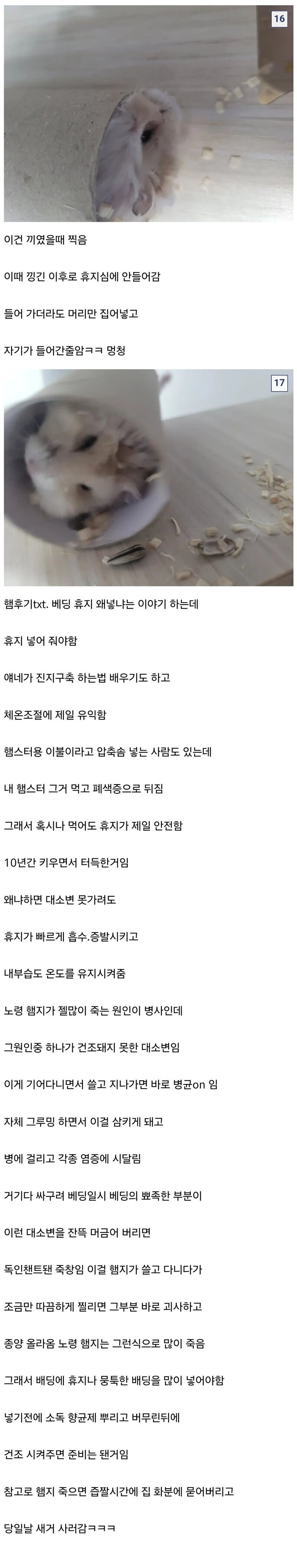 십년간 햄스터 키우기 한우물만 판 디시인_3.jpg