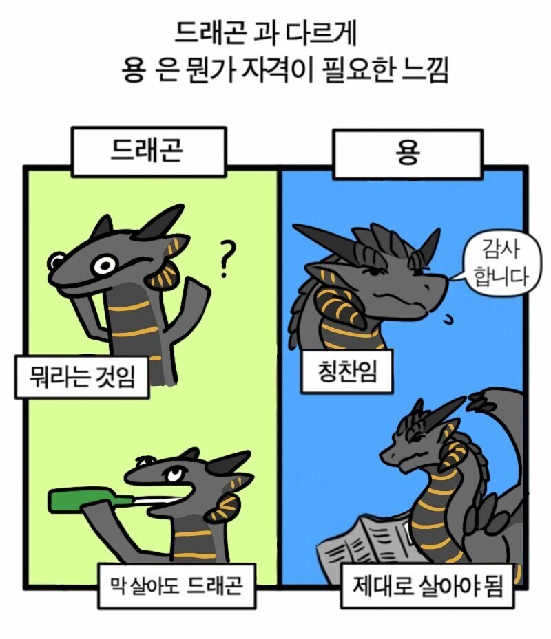 드래곤과 용 대우가 다른 이유_1.jpg