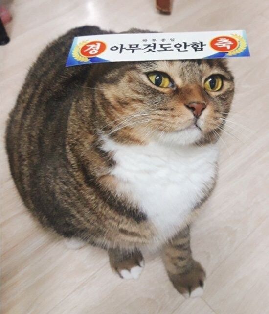 ㅇㅇㄱ)이 너무 불쾌한게 유게 베스트를 계속 꽉채우잖아_1.jpg