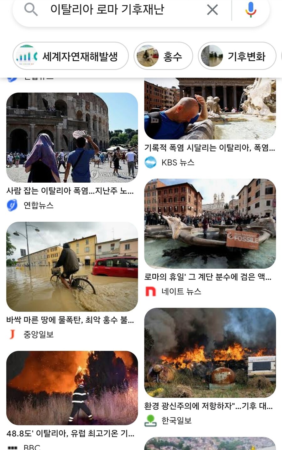 사람 살기 좋은 지역이라는 지중해성 기후 지역 특_1.jpg