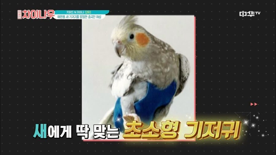 [혐/더러움주의] 우연히 알게된 정보로 인해 도달한 의문점._2.jpg