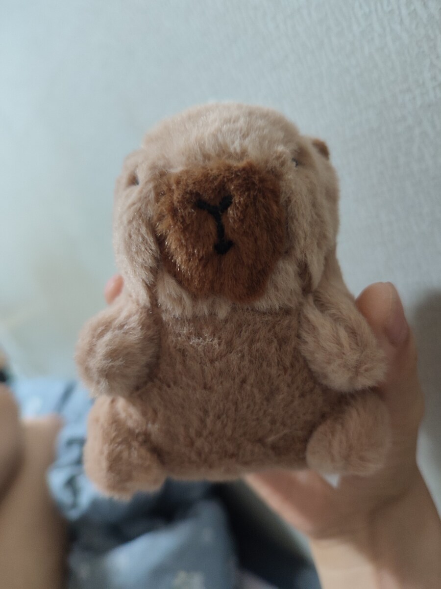 얼마전에 산 다이소 카피바라 인형 귀엽네_1.jpg