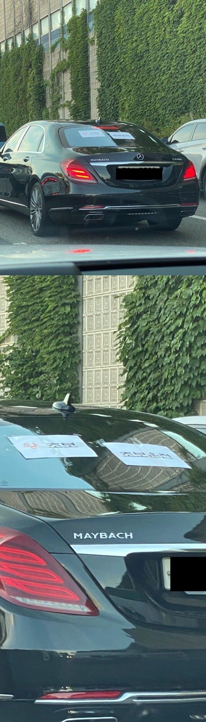 왕초보 + 초보운전_1.jpg