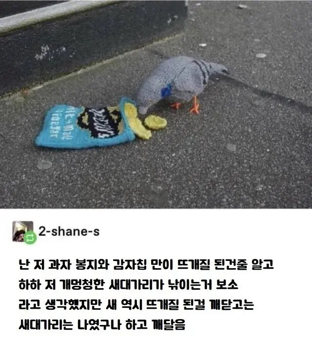 ??: "ㅋㅋㅋ 새대가리 보소"_1.png