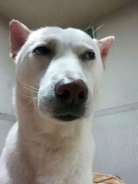 연봉 올려준다니까 이직하지 말라는데.._1.jpg