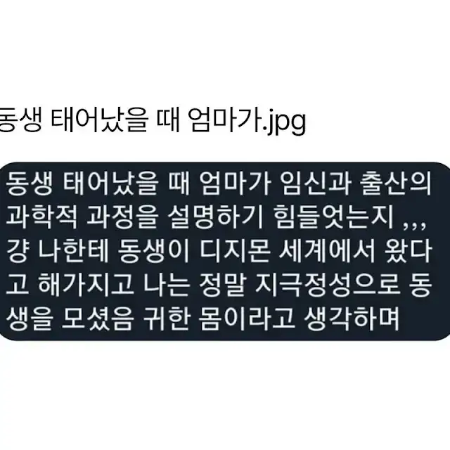 현실에는 인간의 모습을 한 디지몬이 있다고 한다_1.webp