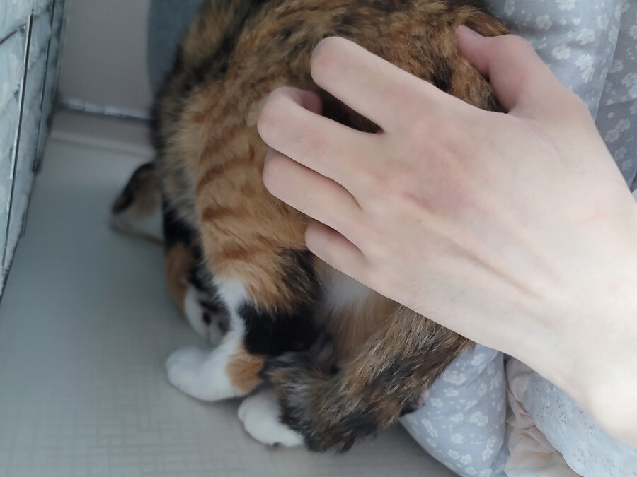 비가 계속 내려서 덕분에 새벽배달 돈좀 받는중(추탭갈이닷!_6.jpg