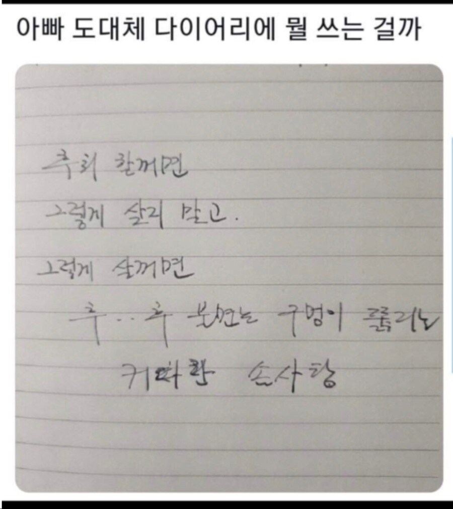 아빠 도대체 다이어리에 뭘 쓰는걸까_1.jpg
