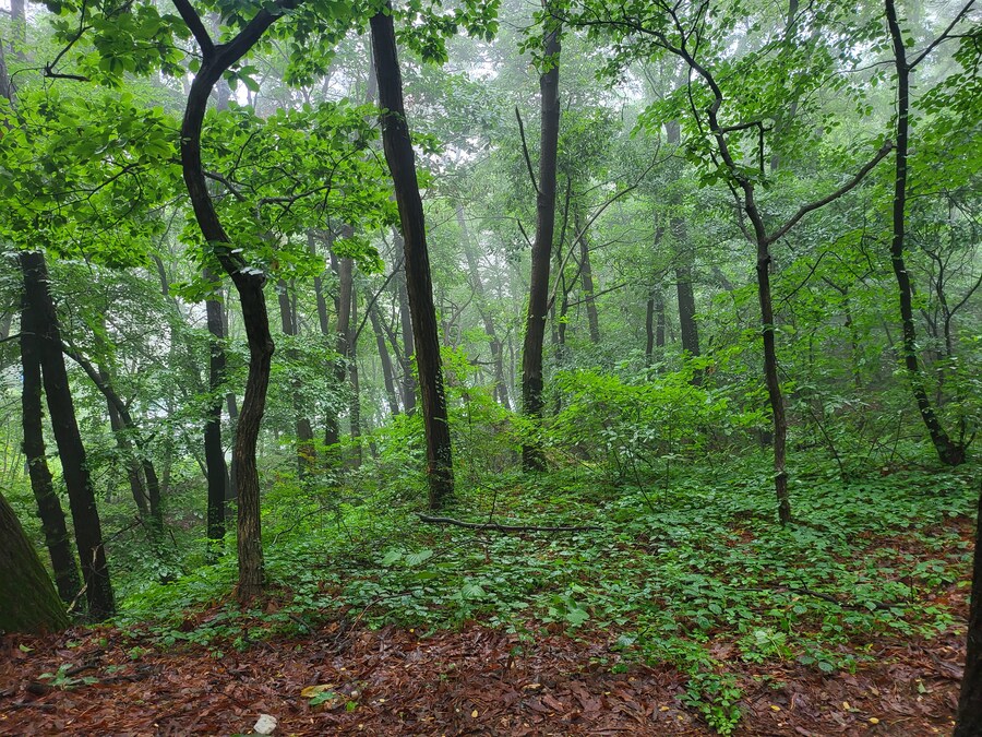 유게이 등산옴_1.jpg