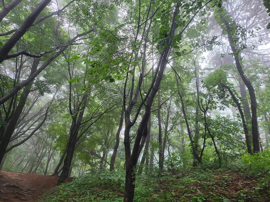 유게이 등산옴_2.jpg