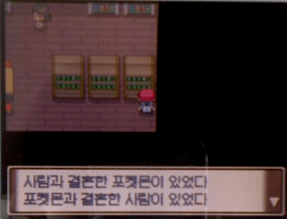 포켓몬) 포켓몬과 인간은 결혼한적이 있다_1.webp