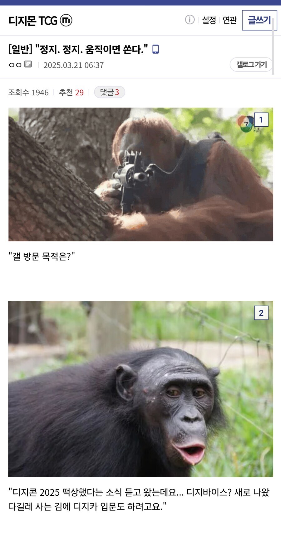 정지. 정지. 움직이면 쏜다._1.jpg
