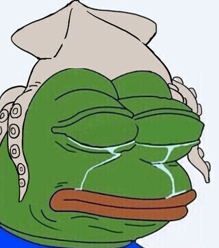 와 좀전에 렉돌 고양이 태어나서 처음 봤다._2.jpg