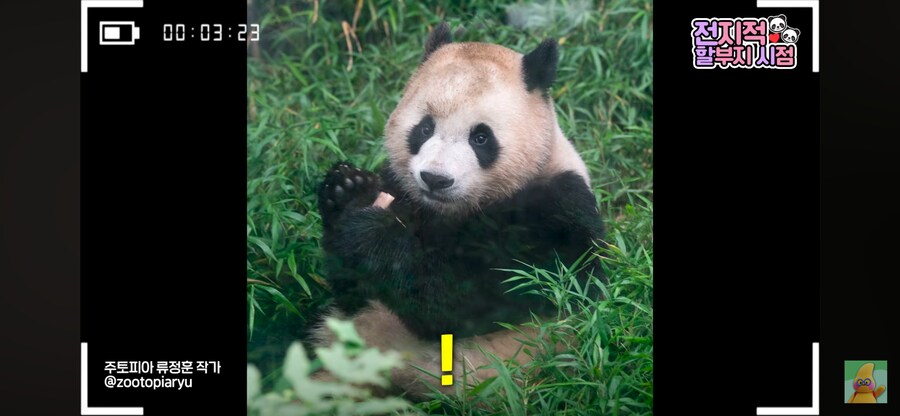 훍곰_1.png