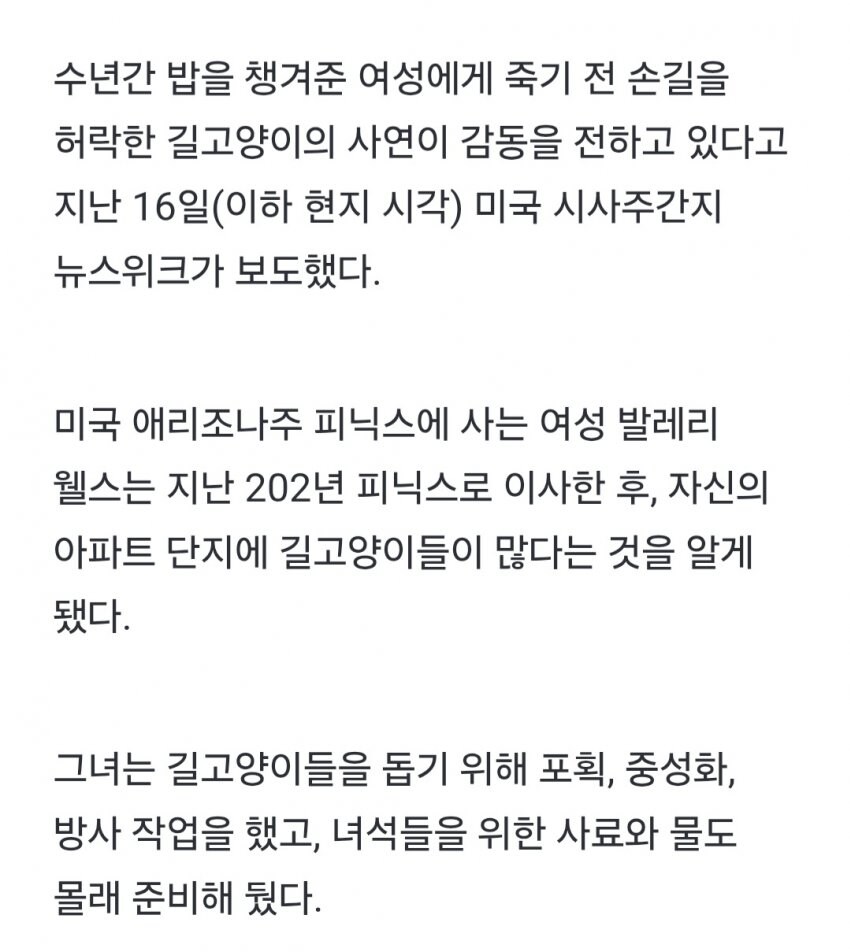 죽기 전 손길 허락한 길고양이.jpg_2.jpg