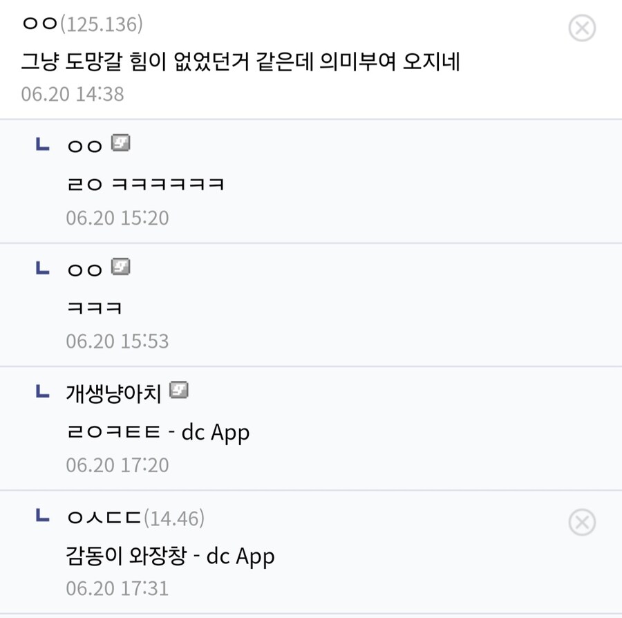 죽기 전 손길 허락한 길고양이.jpg_6.jpg