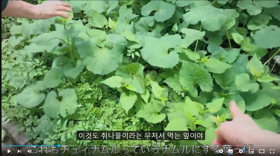 ??? : 아이고 차린 게 없어서 참..._1.png