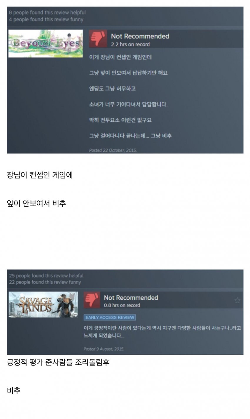 ㅇㅇㄱ) 그사람이 스팀평가 비추준 이유_5.jpg
