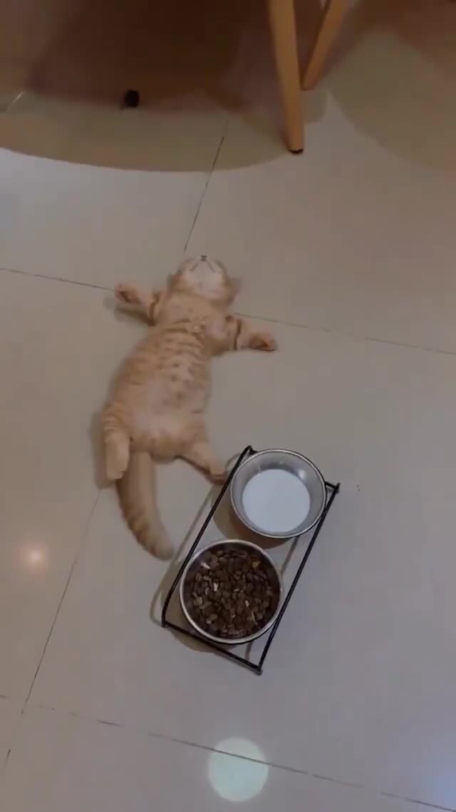 옛날 화폐단위는 냥이었다._1.jpg