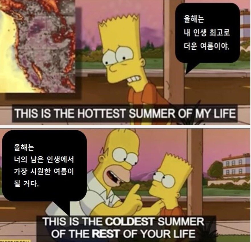 올해는 틀린말_1.jpg