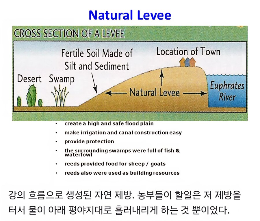 메소포티미아시대 관개농업의 환상과 현실_4.jpg
