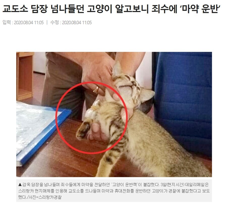 카짓쉑 스쿠마 운반하다 걸렸쥬.jpg_1.jpg