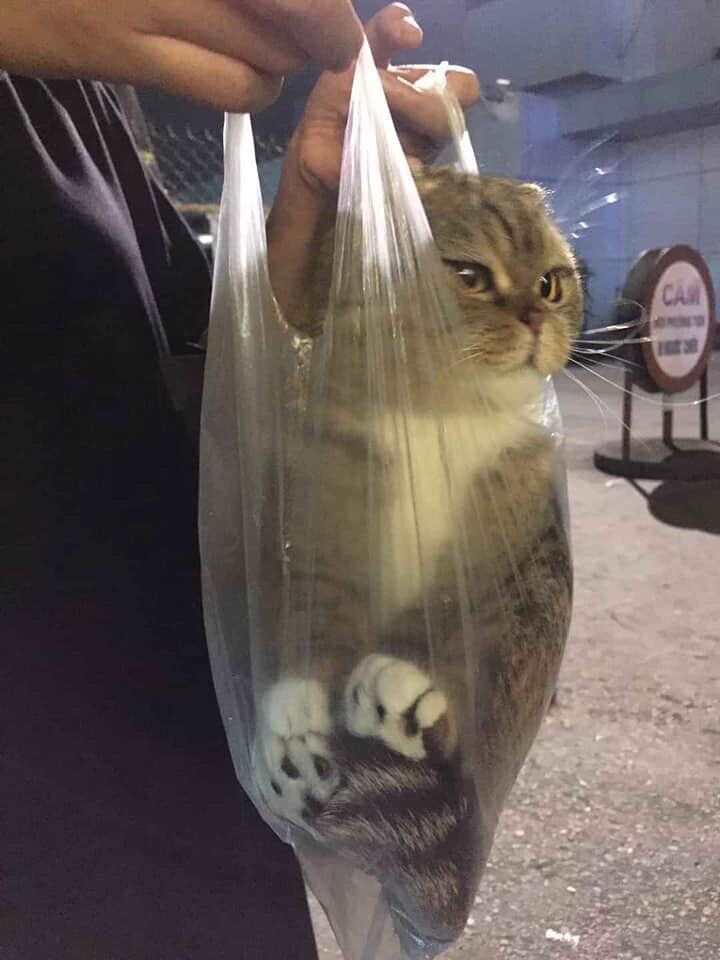 마운틴듀 제로 괜찮다_1.jpg