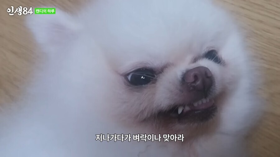 이번에야말로 죽어라 유게이_8.jpg