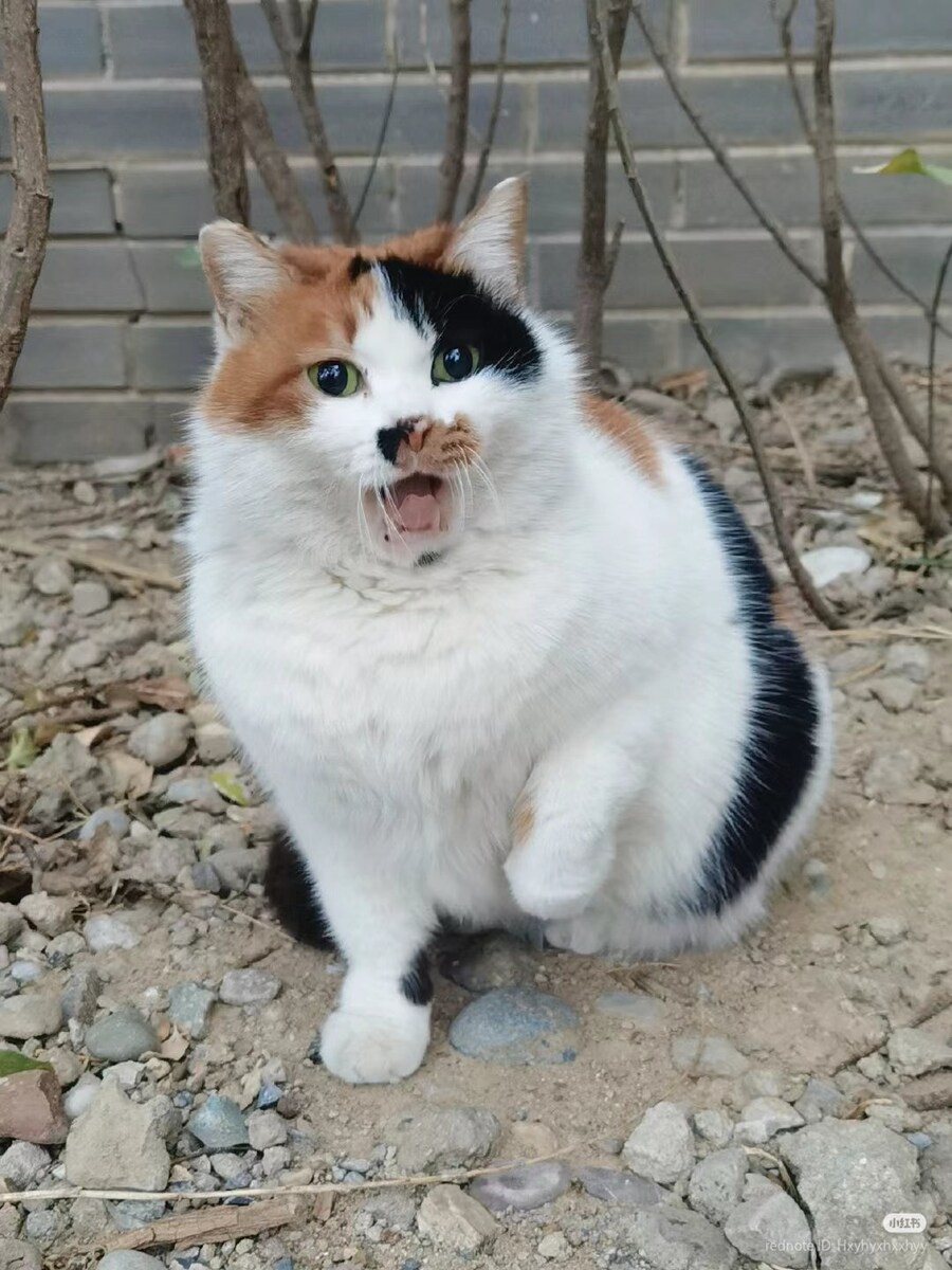 이번에야말로 죽어라 유게이_10.jpg
