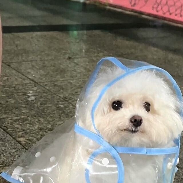 이번에야말로 죽어라 유게이_13.jpg
