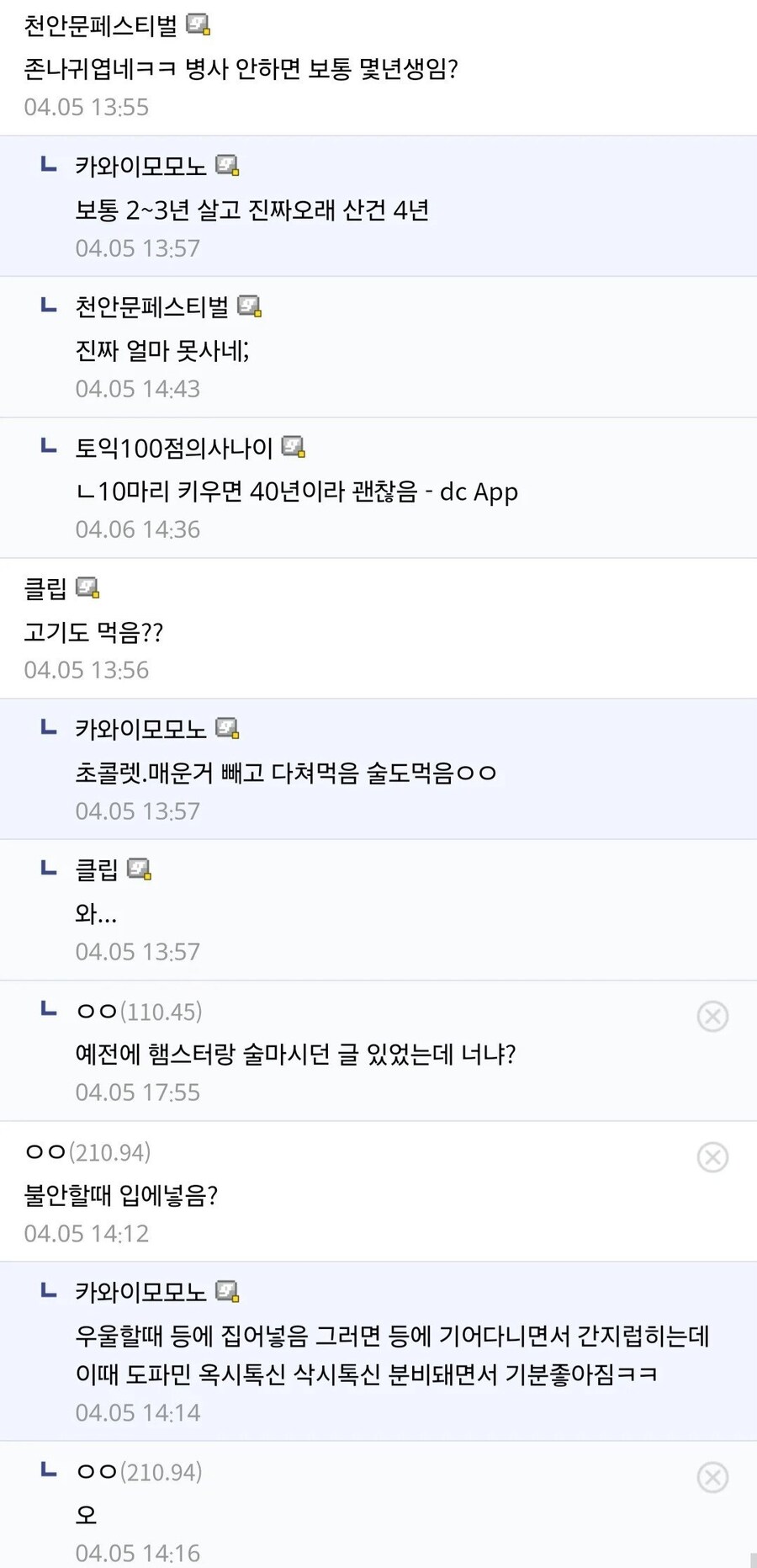 십년간 햄스터 키우기 한우물만 판 디시인_5.jpg