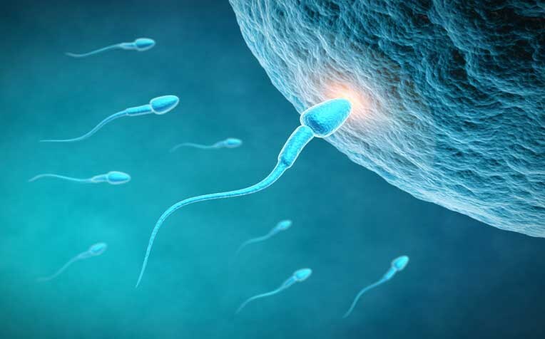 '야동 많이 보면 정신병에 걸려' 하버드대 연구진이 밝힌 놀라운 진실_1.jpg