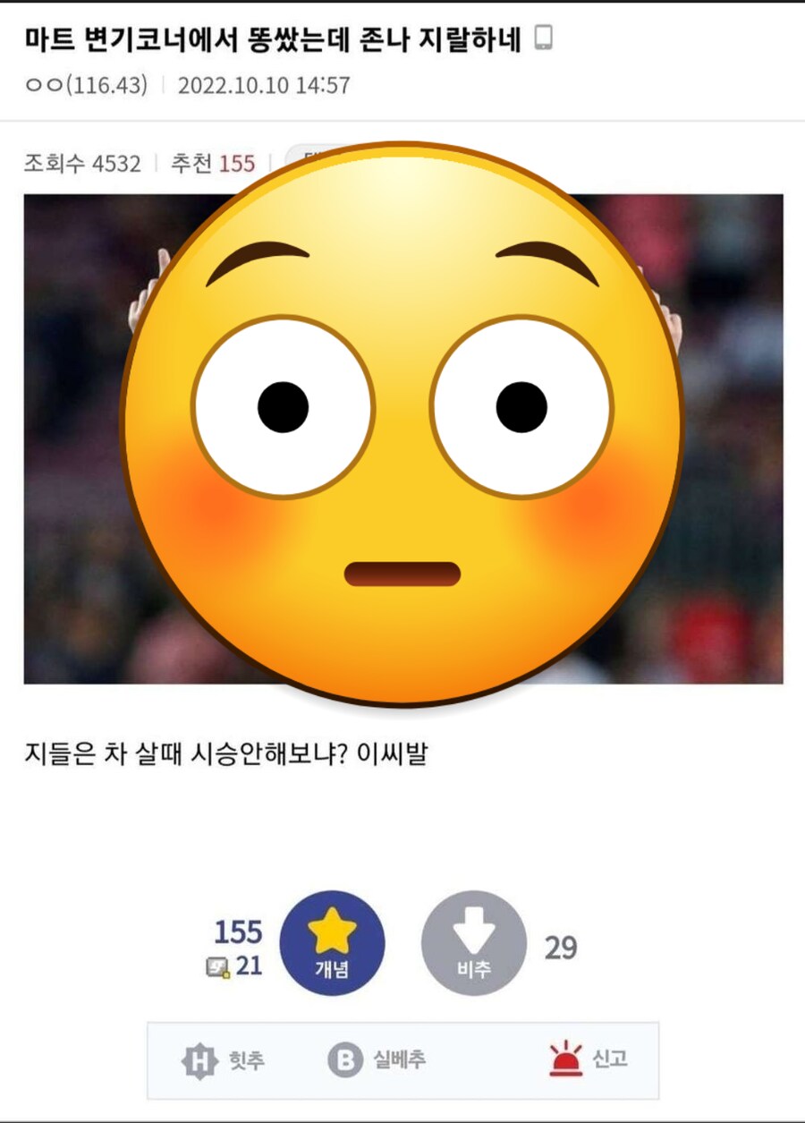 마트 변기에다 똥 싸고 욕 먹은 사람_1.png