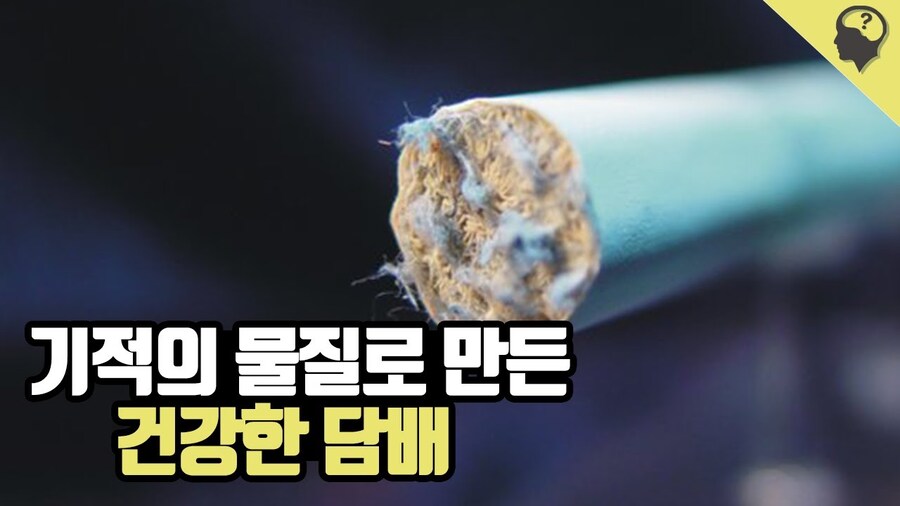 린도인들이 부럽지않던 낭만의 시대 미국인들_2.jpg
