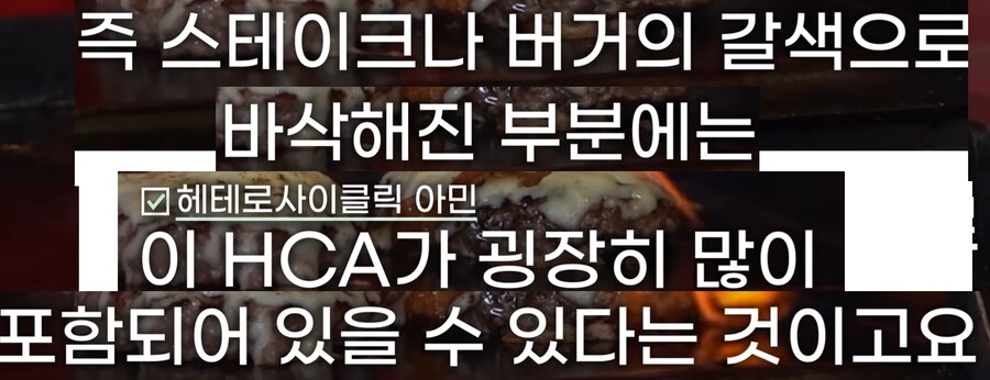 붉은 고기(적색육)은 몸에 나쁜가?_23.png