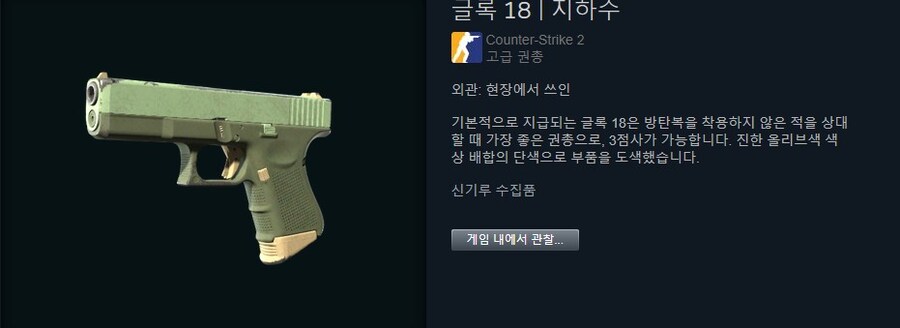 카스는 총기 스킨가격이 장난 아니구나_1.jpg