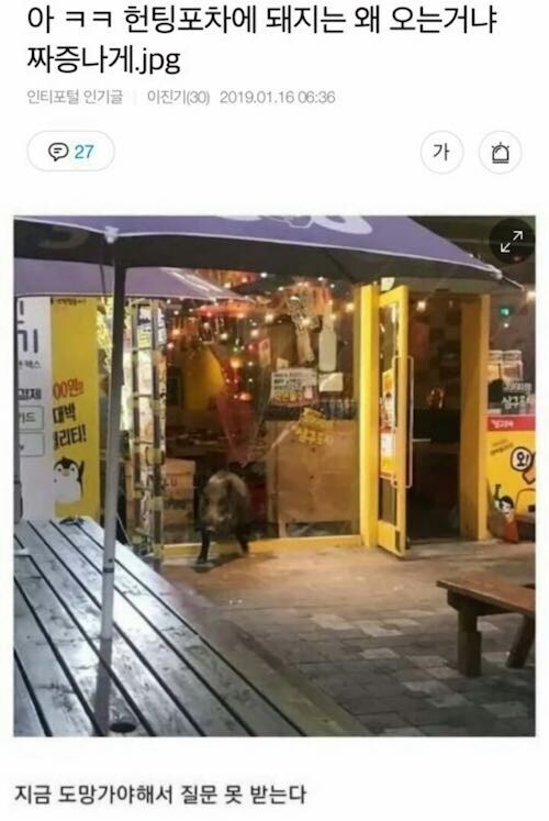 아 ㅋㅋ 헌팅포차에 돼지는 왜 오는거냐 짜증나게_1.jpg