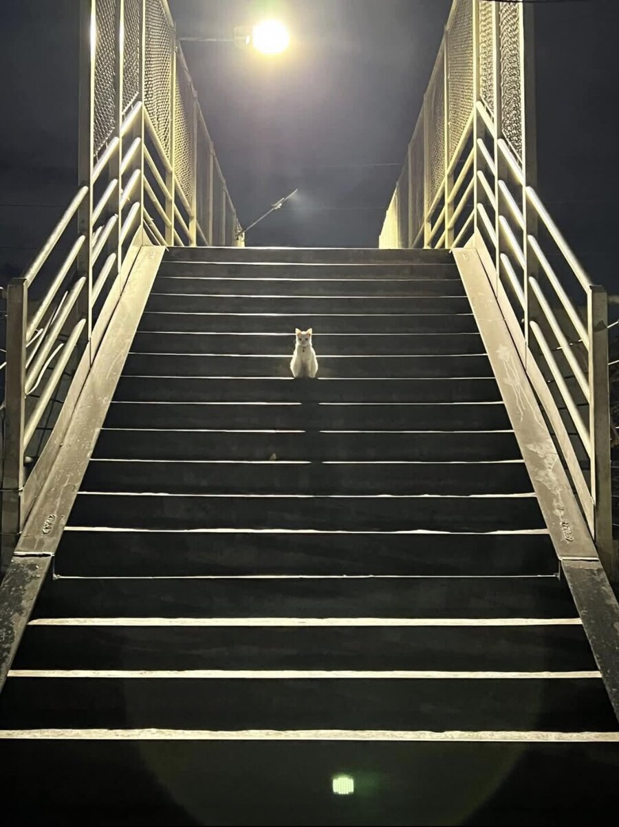 라스트 보스 등장.jpg_1.jpg