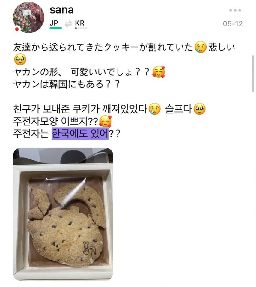 일본인: "한국에도 OO 있어?".jpg_3.jpg