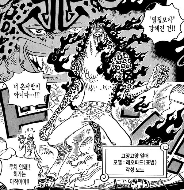 밀짚모자 강해진건 너 혼자만이 아니다_1.jpg