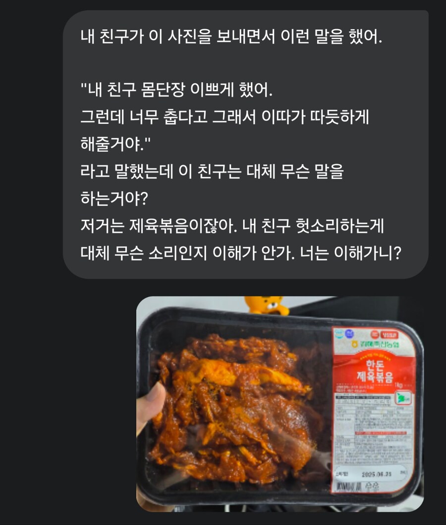AI한테 헛소리 해봤는데 얘 찰떡같이 알아듣네_1.jpg