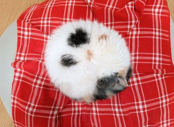 ㅇㅇㄱ)그러니까 이런거올림 베스트감?_14.jpg